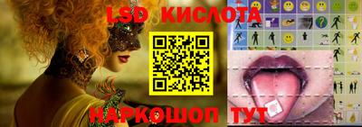 спиды Тула